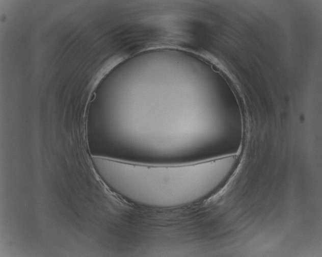 X0000074331145200608251014