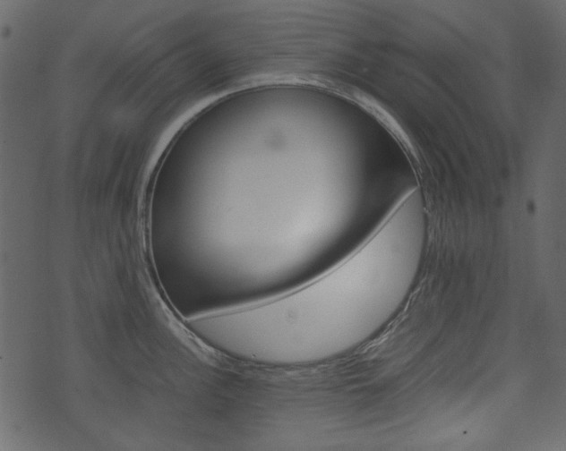X0000074331148200608251014
