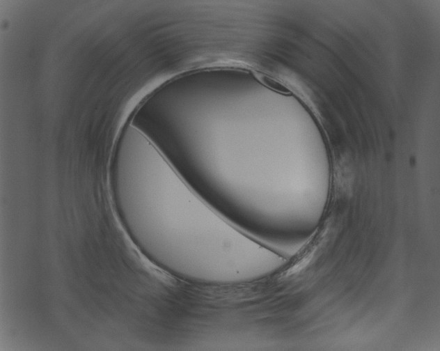 X0000074331149200608251014