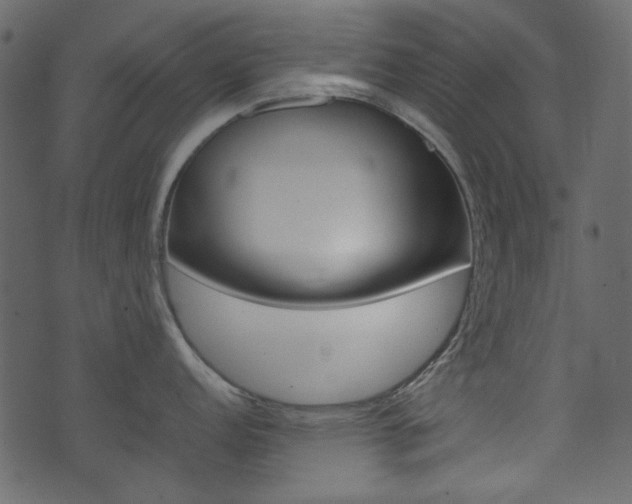 X0000074331152200608251014