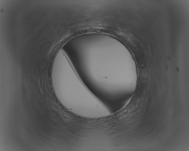 X0000074331159200608251013