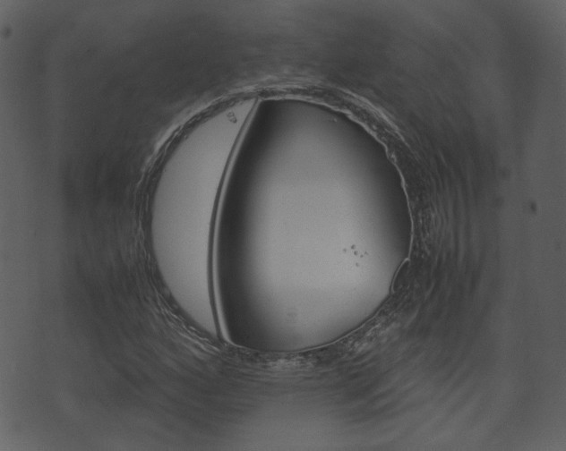 X0000074331160200608251013