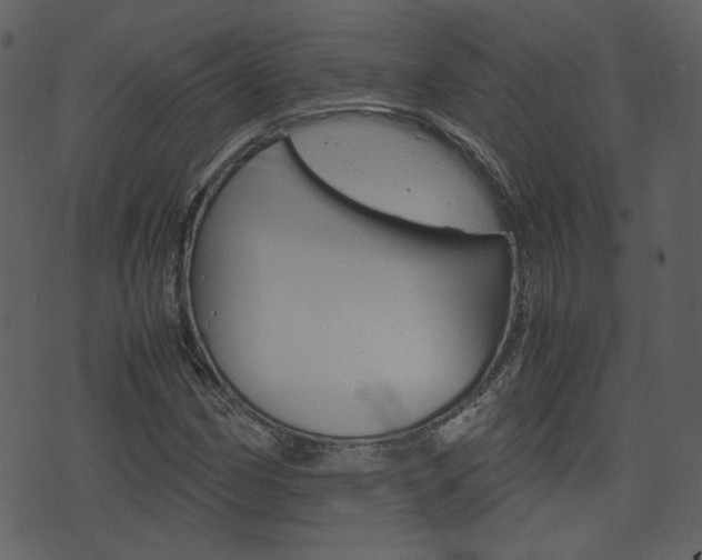 X0000074331162200608251013