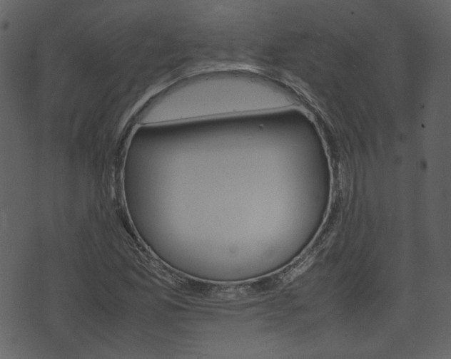 X0000074331165200608251013