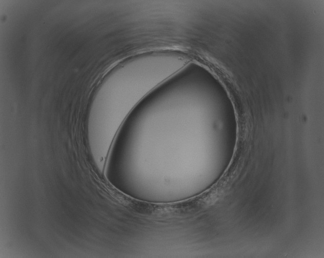 X0000074331169200608251013