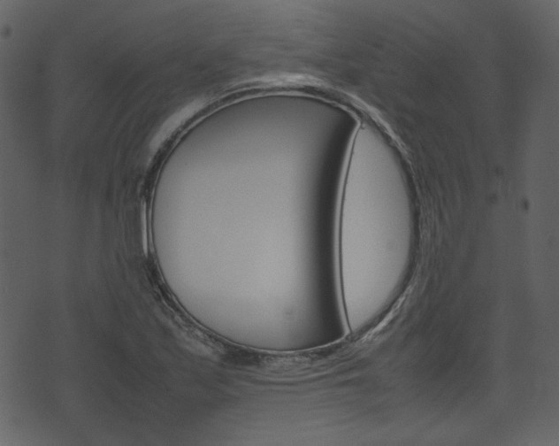 X0000074331171200608251013