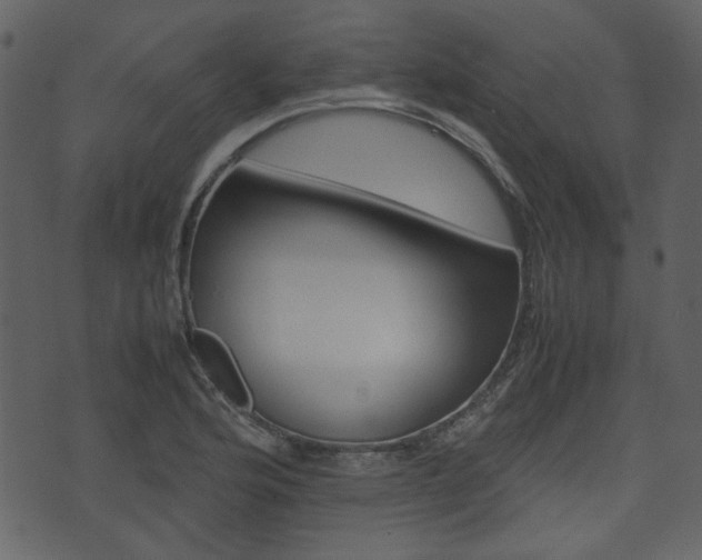 X0000074331176200608251013