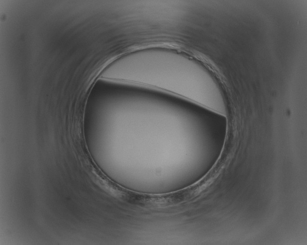 X0000074331177200608251013