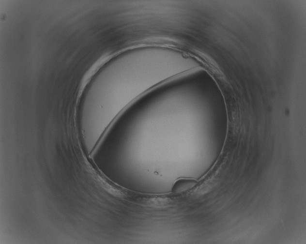 X0000074331180200608251013