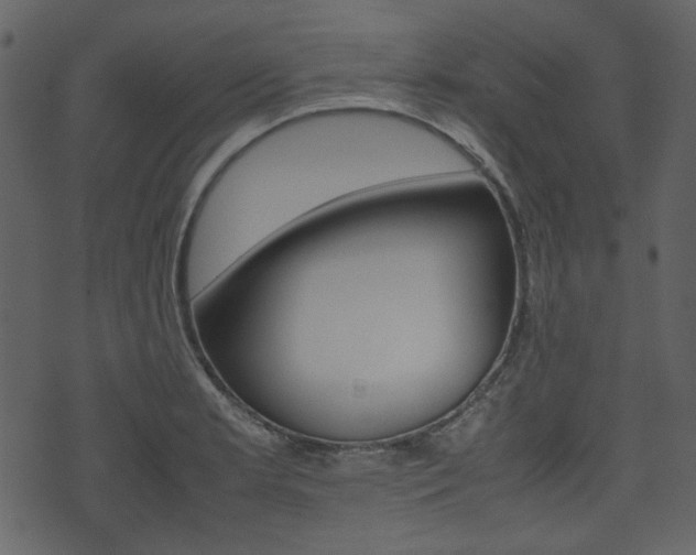 X0000074331181200608251013
