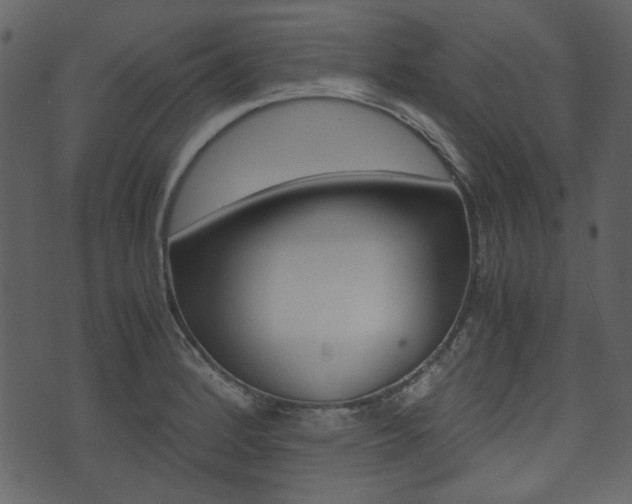 X0000074331184200608251012