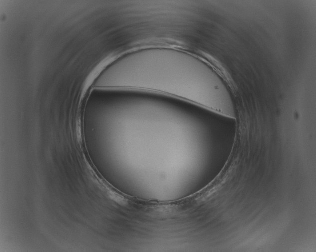 X0000074331188200608251012