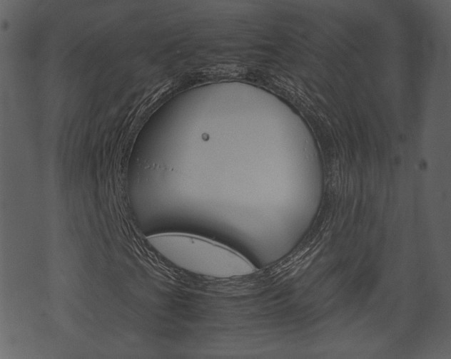 X0000074331201200608251011