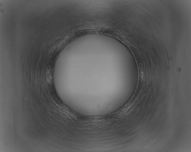 X0000074331204200608251011