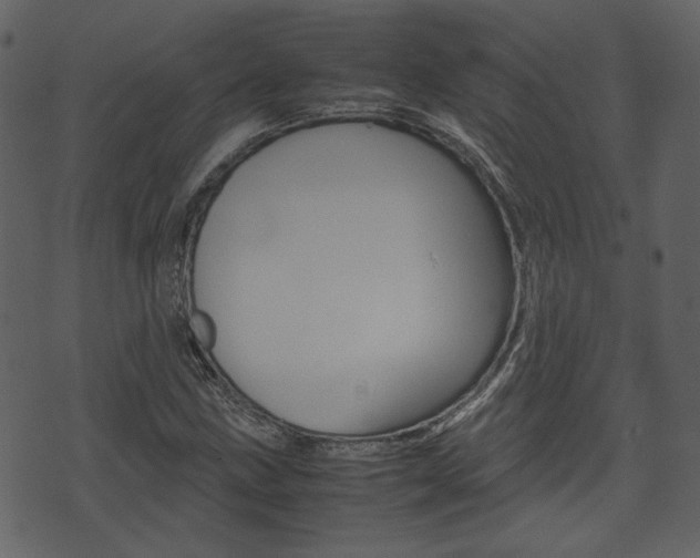 X0000074331211200608251012