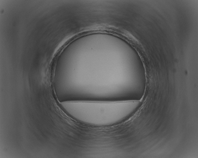 X0000074331216200608251012