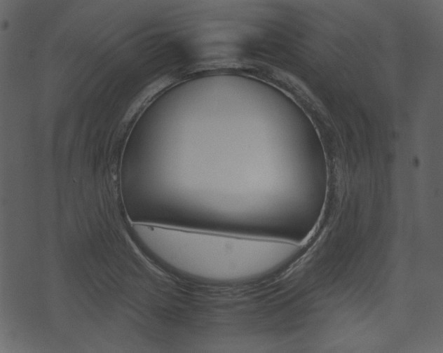 X0000074331225200608251012
