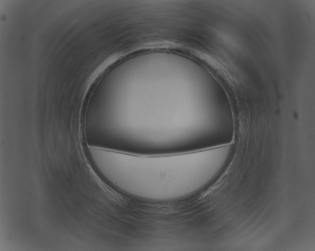 X0000074331229200608251012