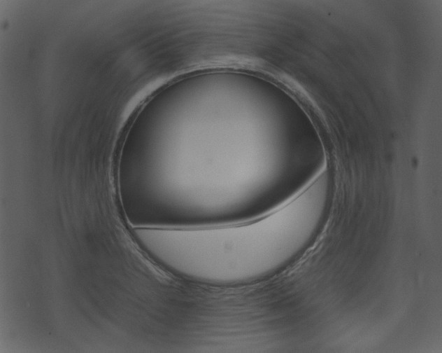 X0000074331230200608251012