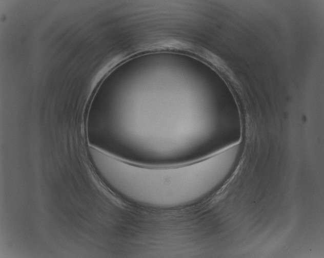 X0000074331234200608251012