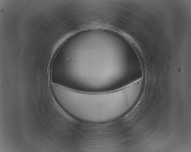 X0000074331238200608251012