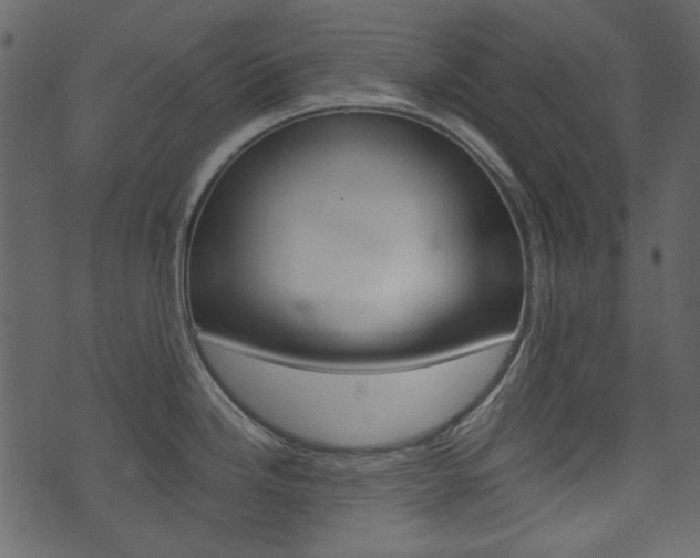 X0000074331246200608251012
