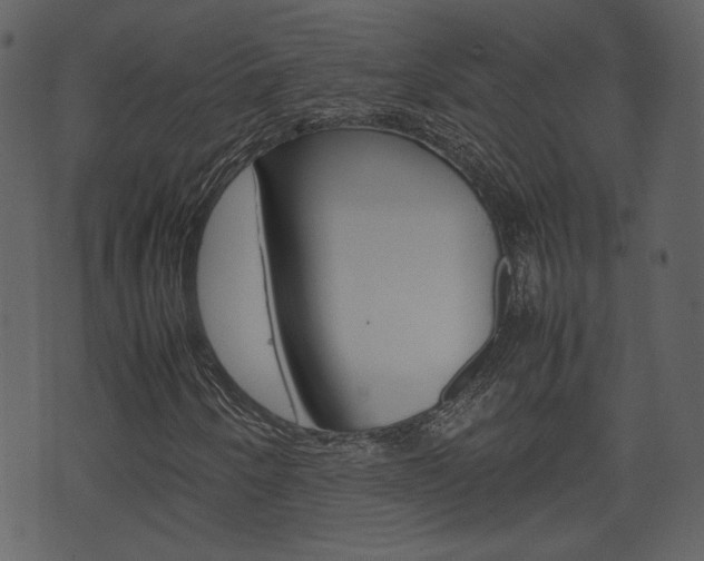 X0000074331250200608251011