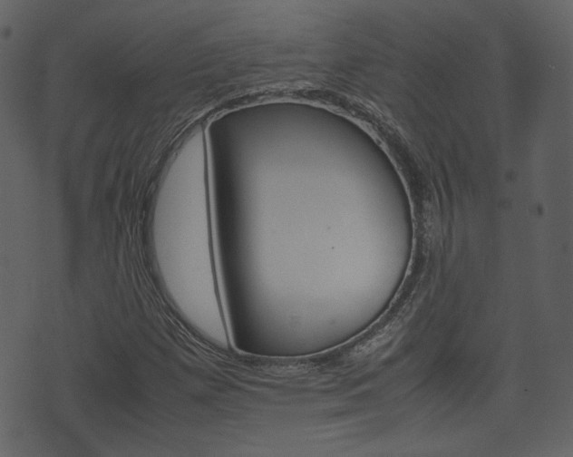X0000074331257200608251011