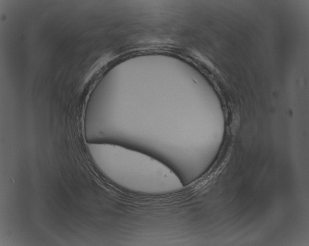 X0000074331259200608251011