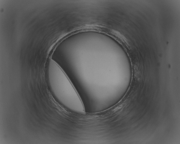 X0000074331260200608251011
