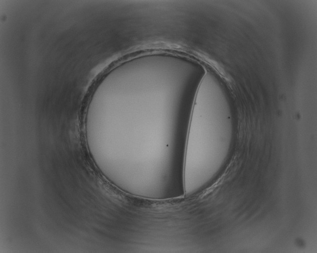 X0000074331264200608251011