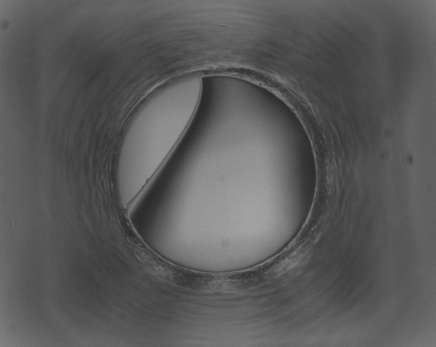 X0000074331265200608251011