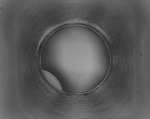 X0000074331270200608251011