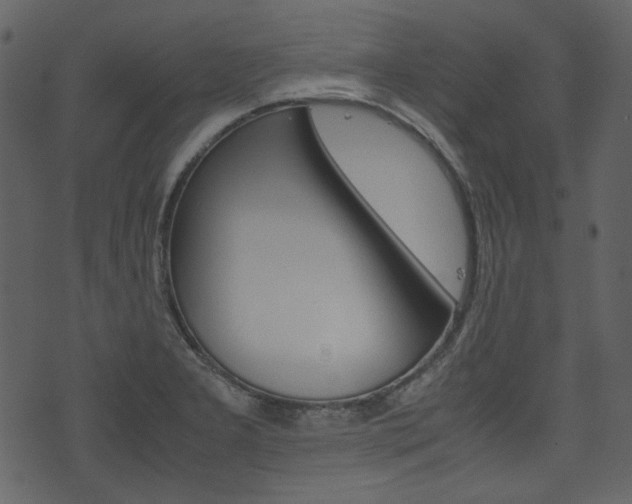 X0000074331277200608251011