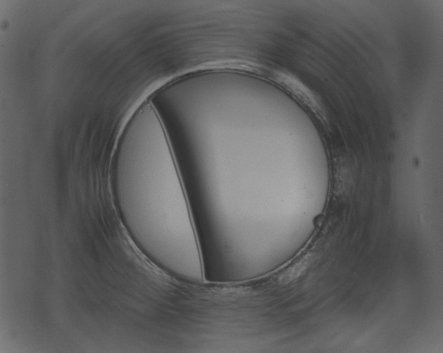 X0000074331284200608251011