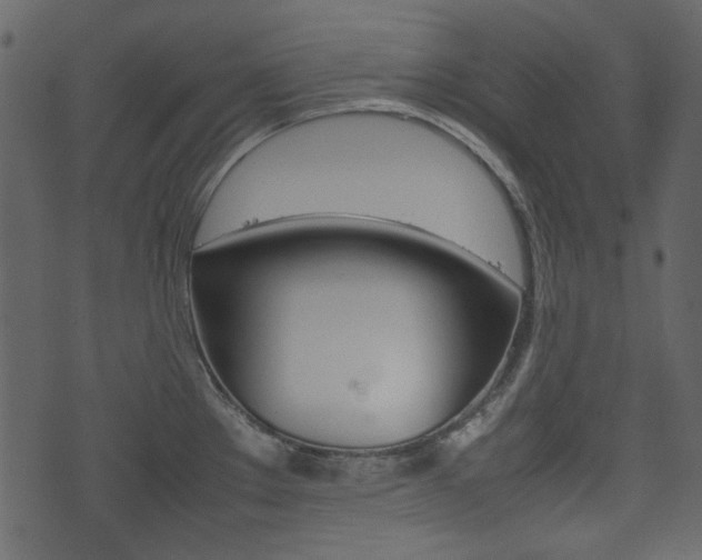 X0000074331289200608251011