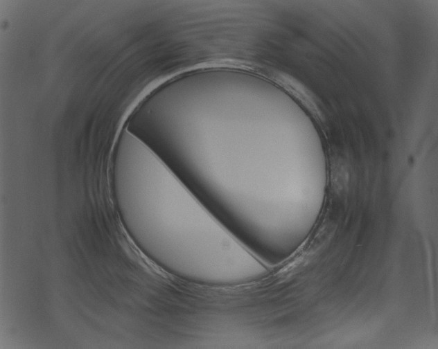 X0000074331292200608251011