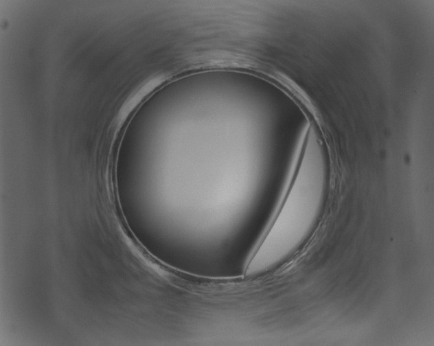X0000074331293200608251011
