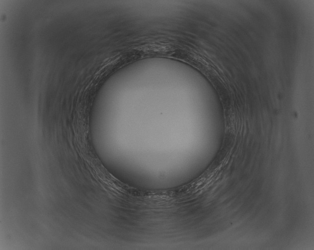 X0000074331297200608251010