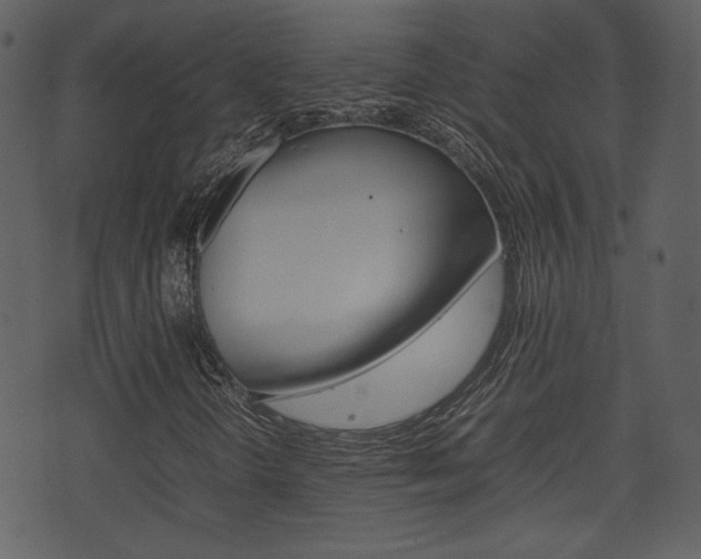 X0000074331298200608251010