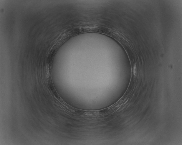 X0000074331299200608251010