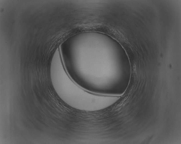 X0000074331300200608251010