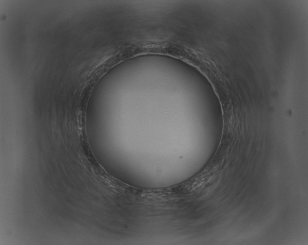 X0000074331301200608251010