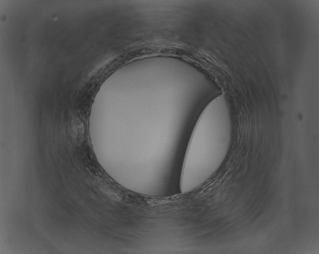 X0000074331302200608251010