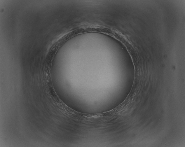 X0000074331303200608251010