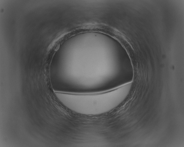 X0000074331304200608251010