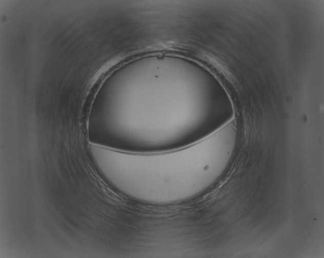 X0000074331308200608251010