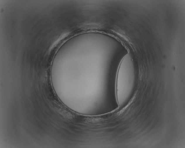 X0000074331309200608251010
