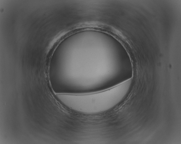 X0000074331312200608251010