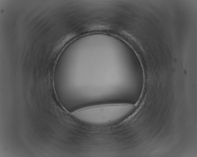 X0000074331313200608251010